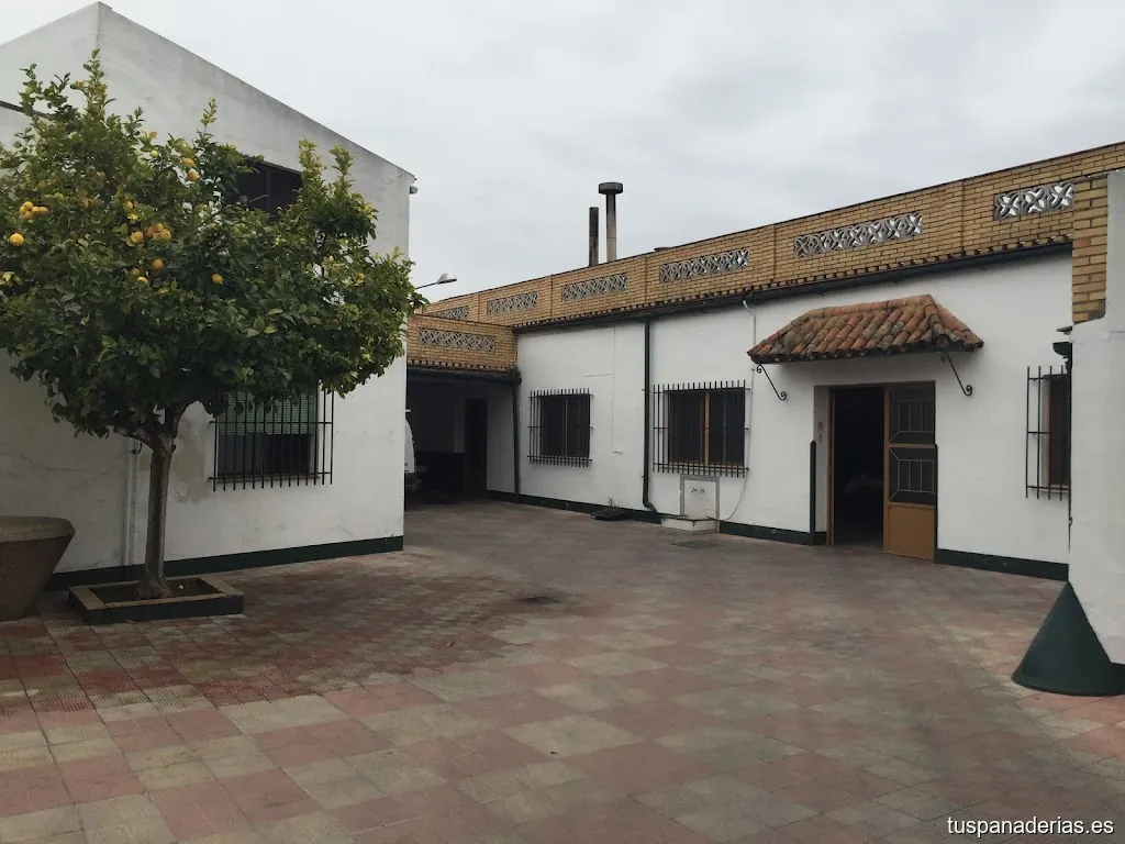 Imagen 2