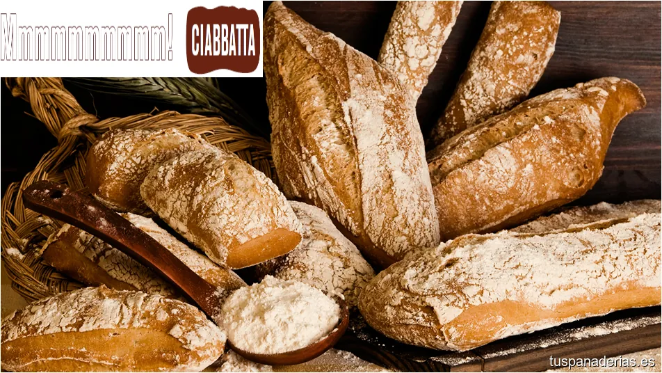 Ciabbatta
