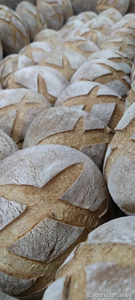 Panadería Santa Marina S.L.U.