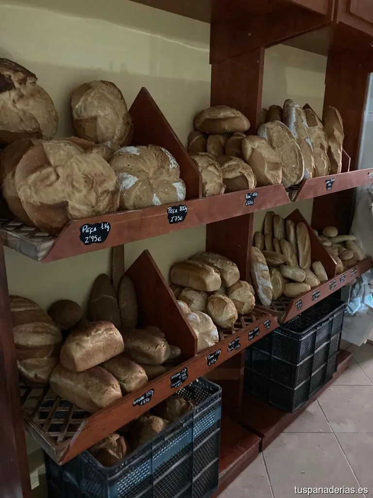 El Flequer Del Carme- Lluis Gardella