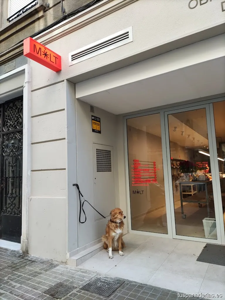 MÒLT : Obrador de pa