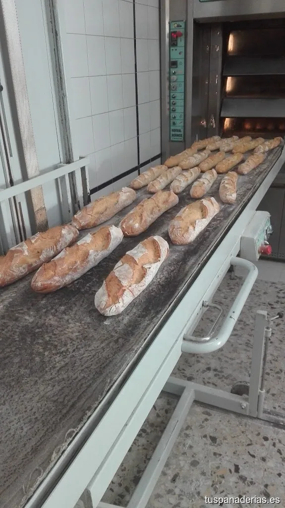 Andrés Sánchez Manchado