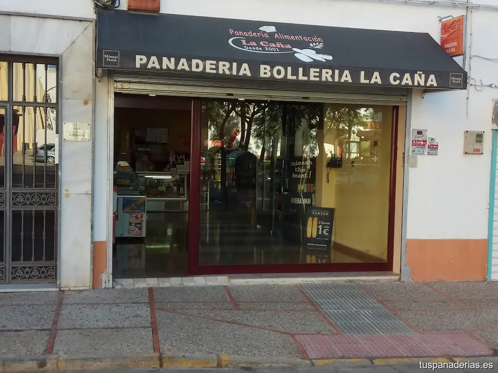 Imagen 1