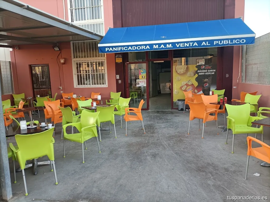 Imagen 1