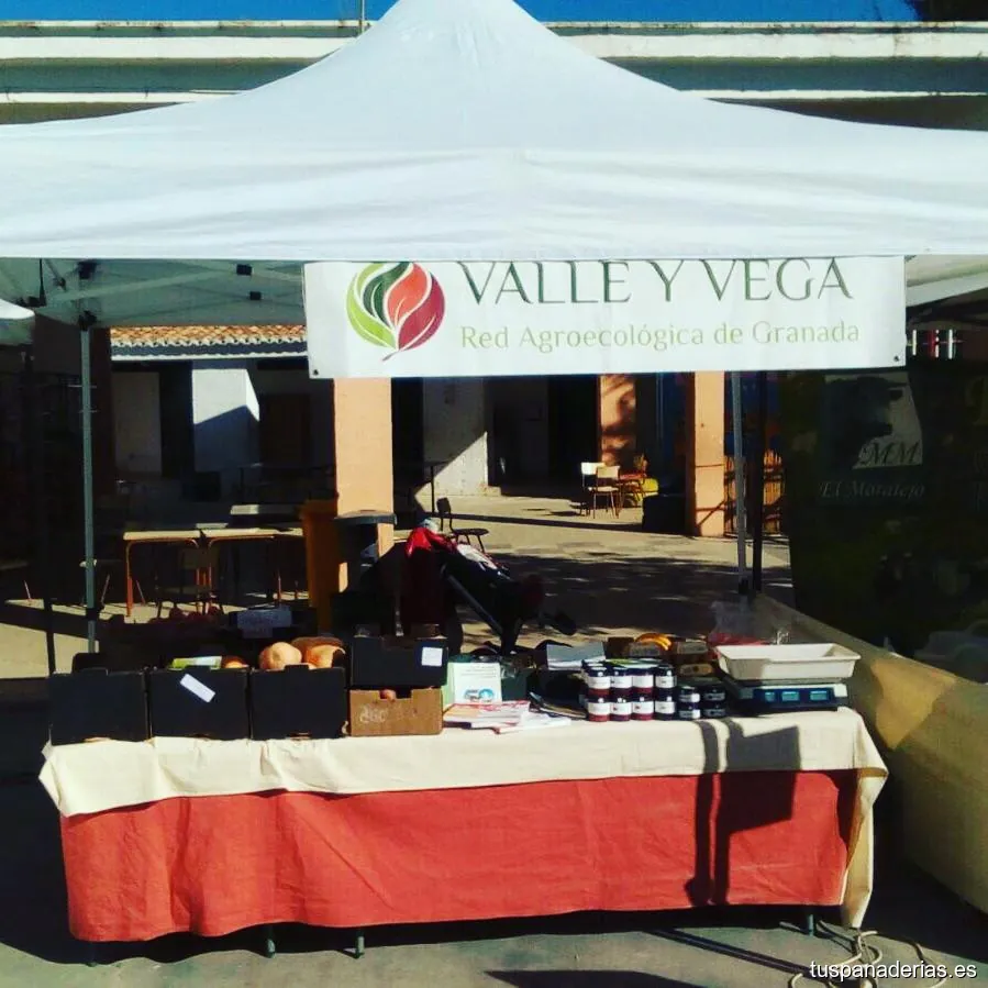 Valle y Vega - Cooperativa Agroecológica de Granada