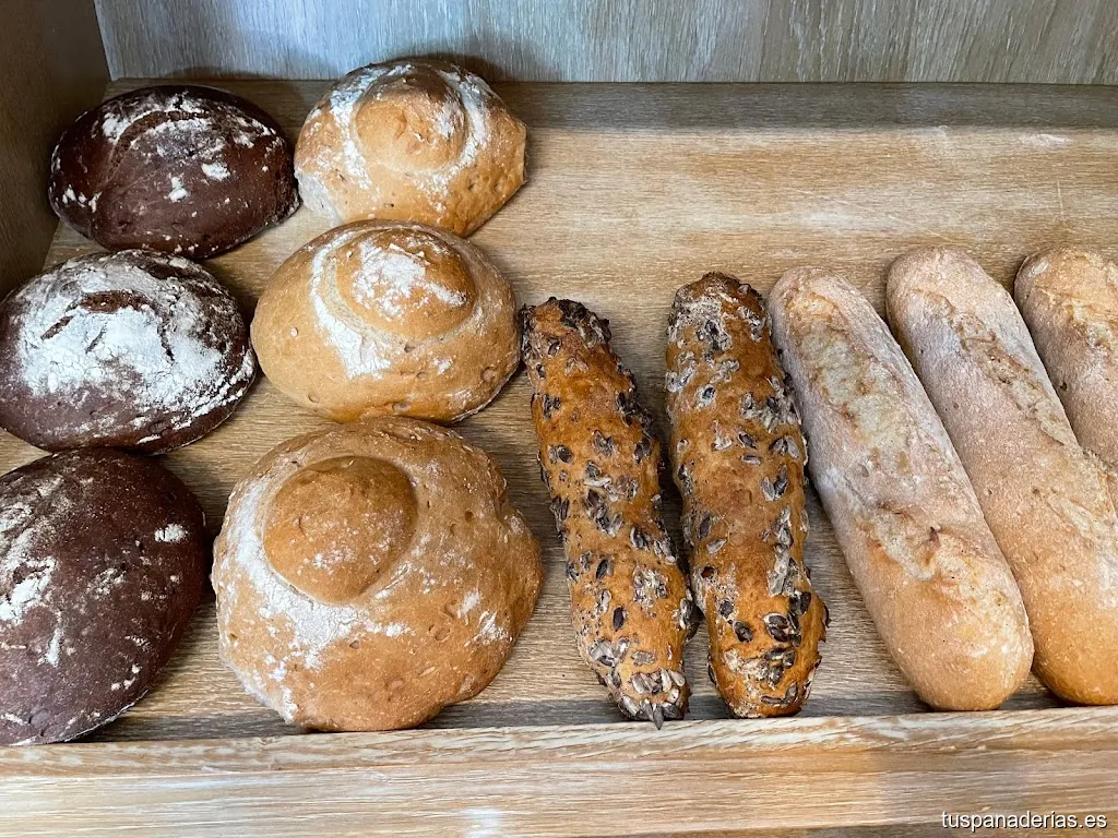 Sin Gluten Nel Freire