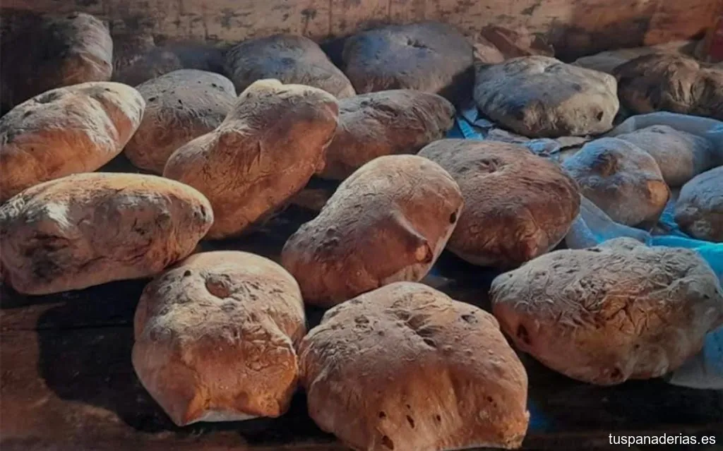 Horacio González García