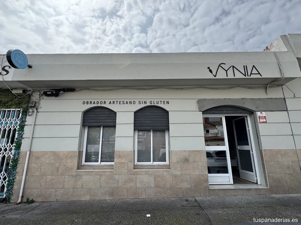Obrador Artesano Sin Gluten Vynia