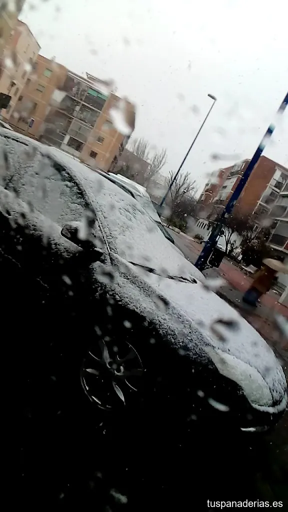 Imagen 2
