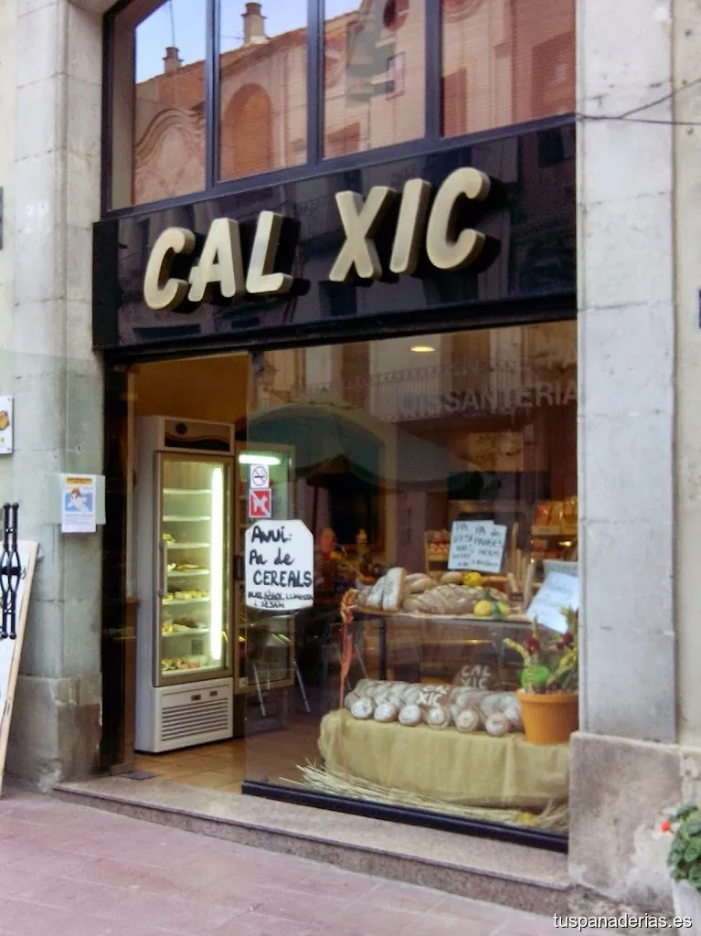 Cal Xic