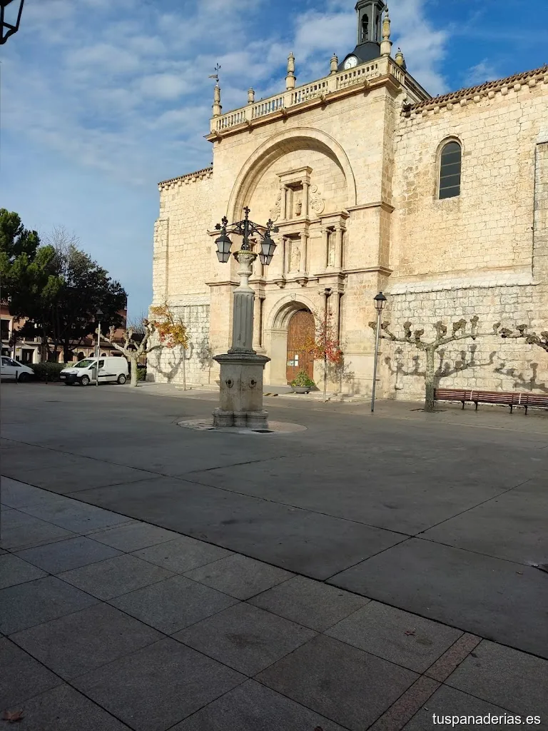 Imagen 1