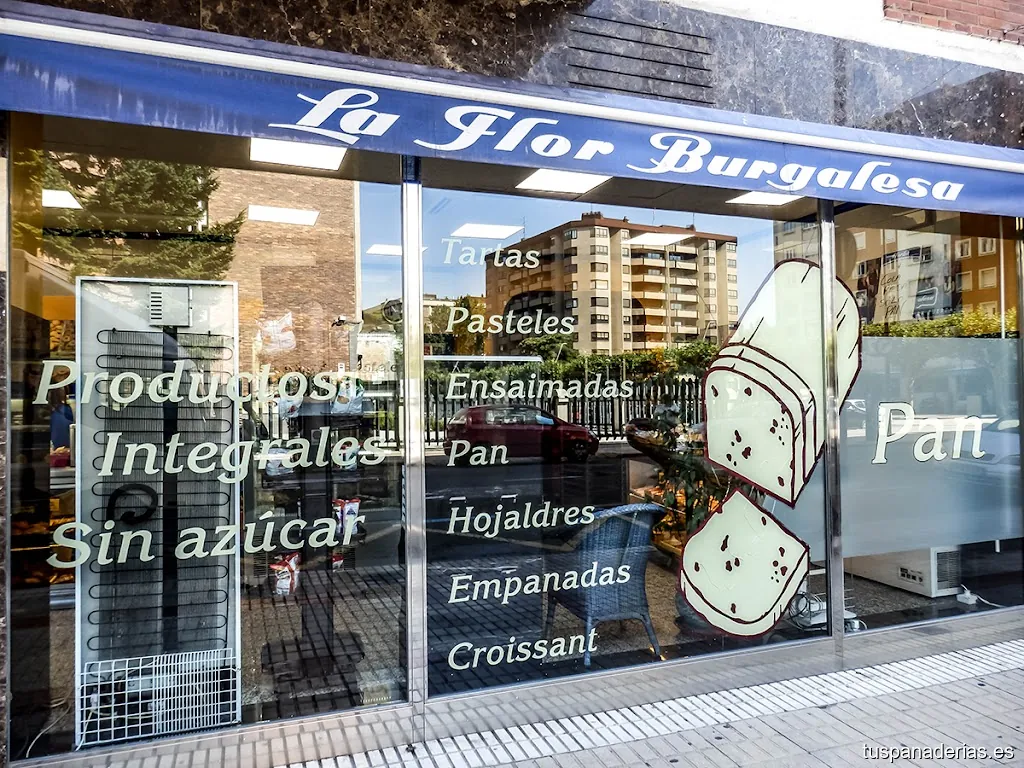 Imagen 1