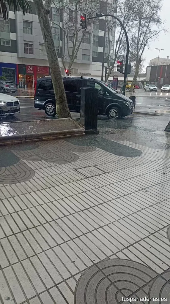 Imagen 2