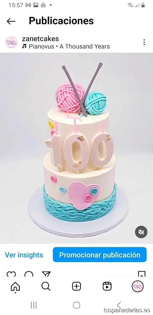 Zanet cakes obrador artesano