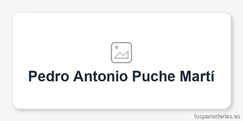 Pedro Antonio Puche Martí