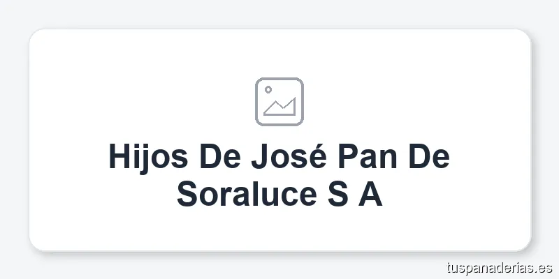 Hijos De José Pan De Soraluce S A