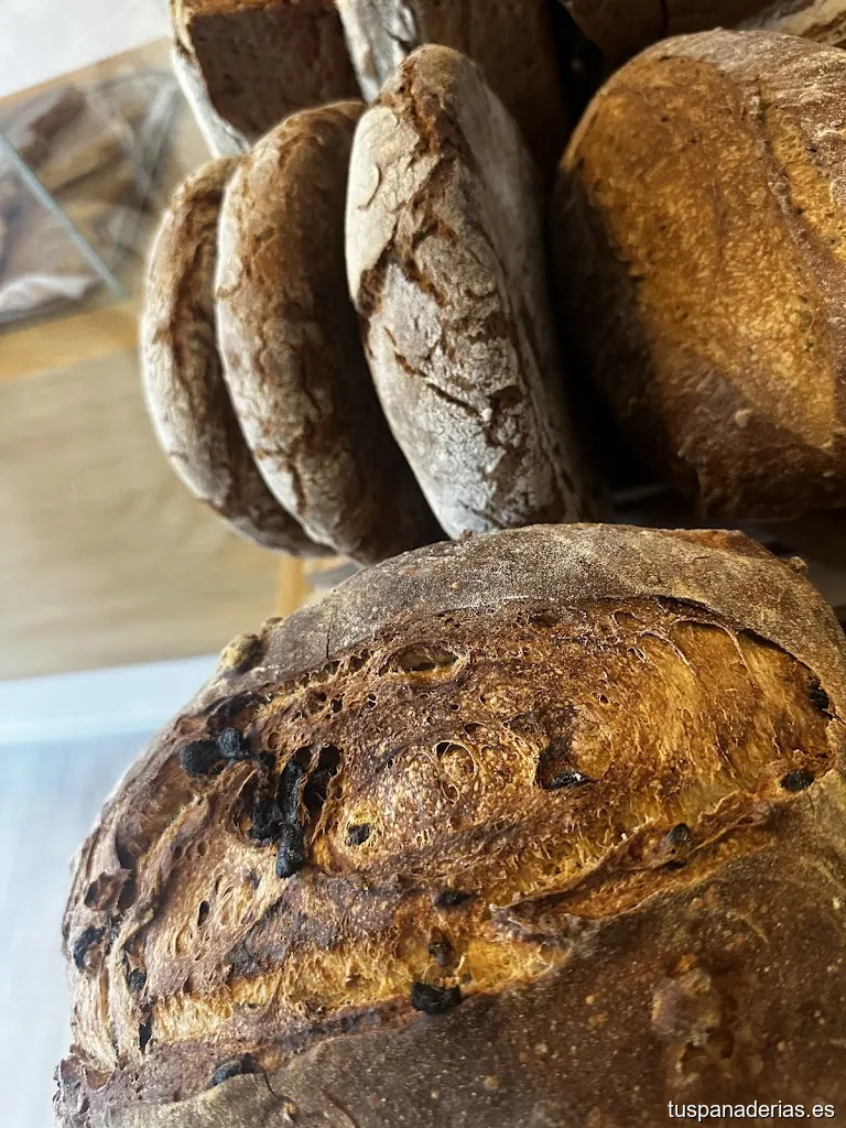 Panadería Ángel Puchi