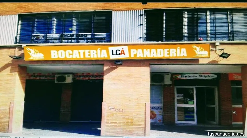 Imagen 1