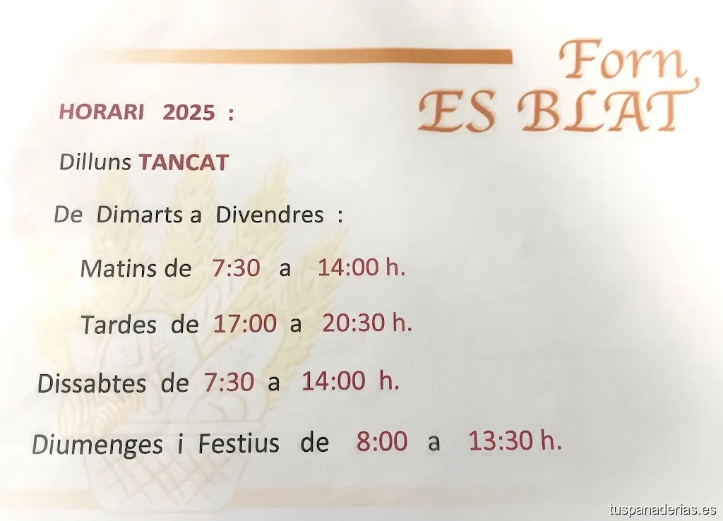 Imagen 3