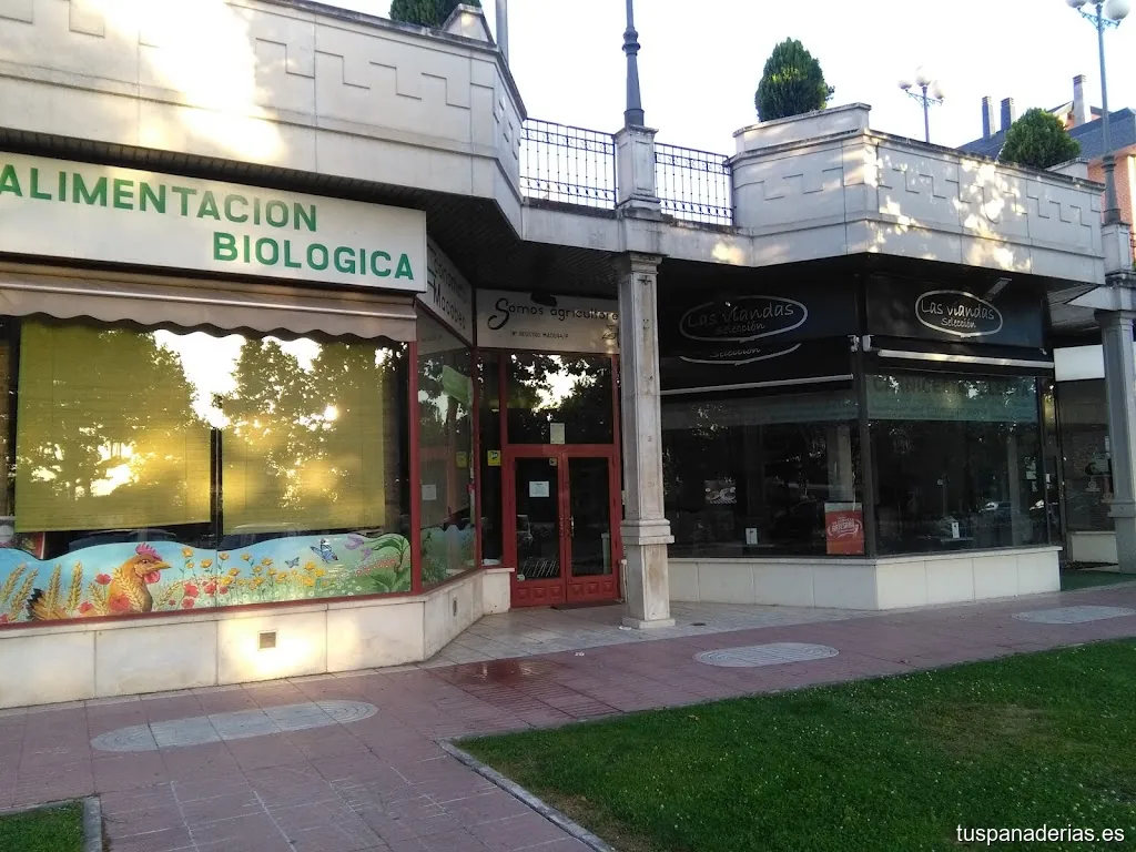 Economato Macabeo Majadahonda