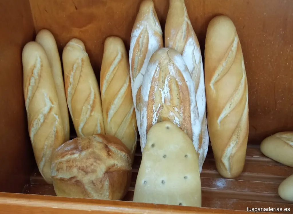 Panadería Colón S.L.