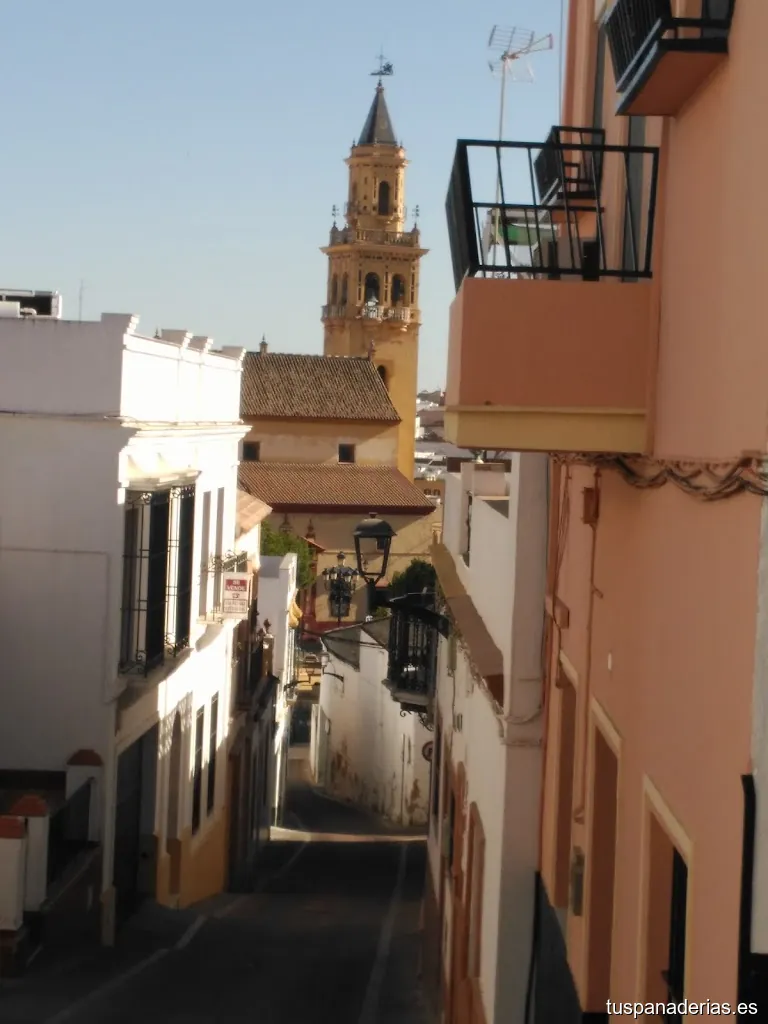 Imagen 1