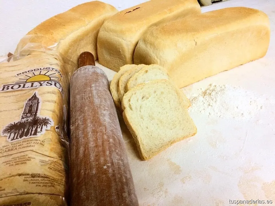 Panaderia Bollysur “La Tejera”