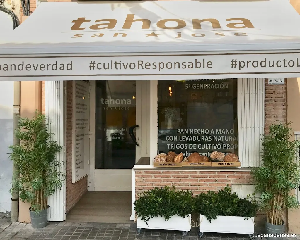 Tahona San Jose
