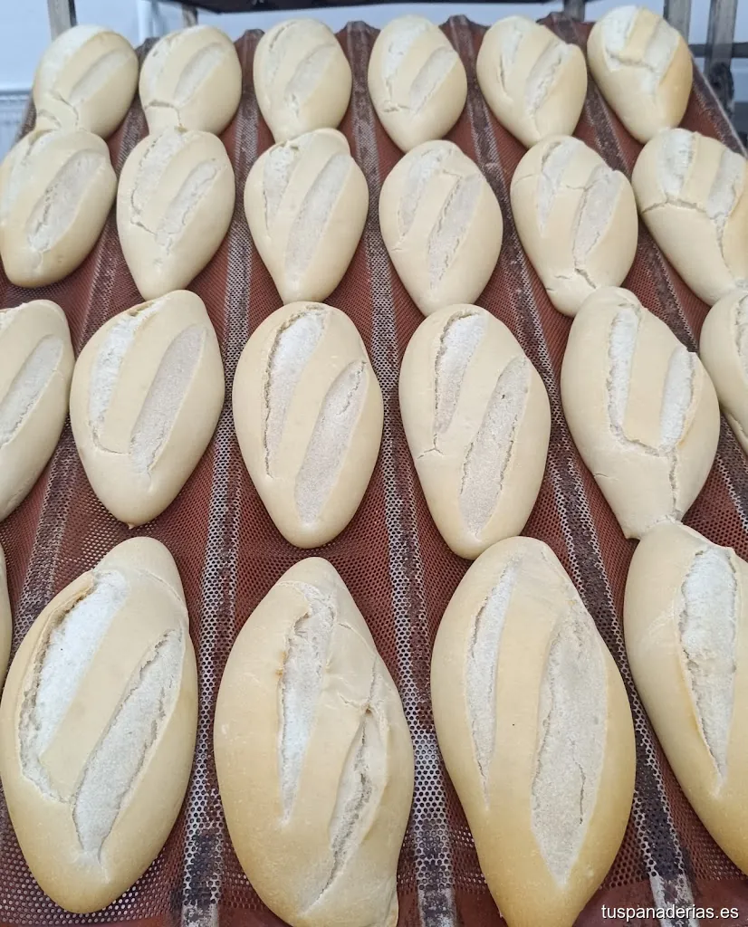 Panificadora los rumbosos ''el Pati'' SL