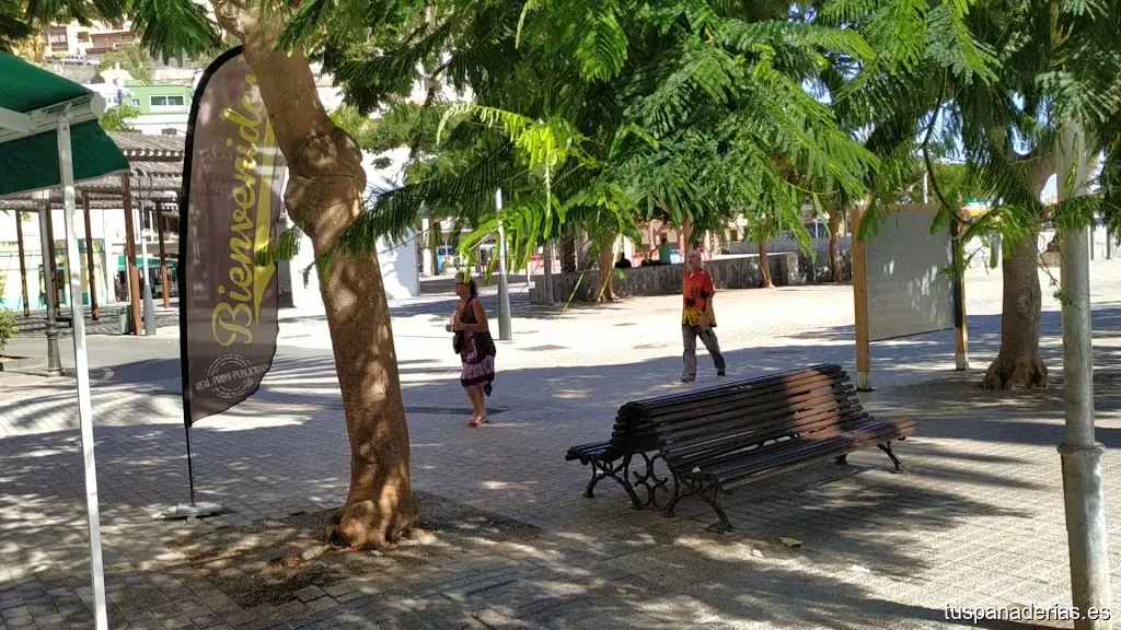 Imagen 2