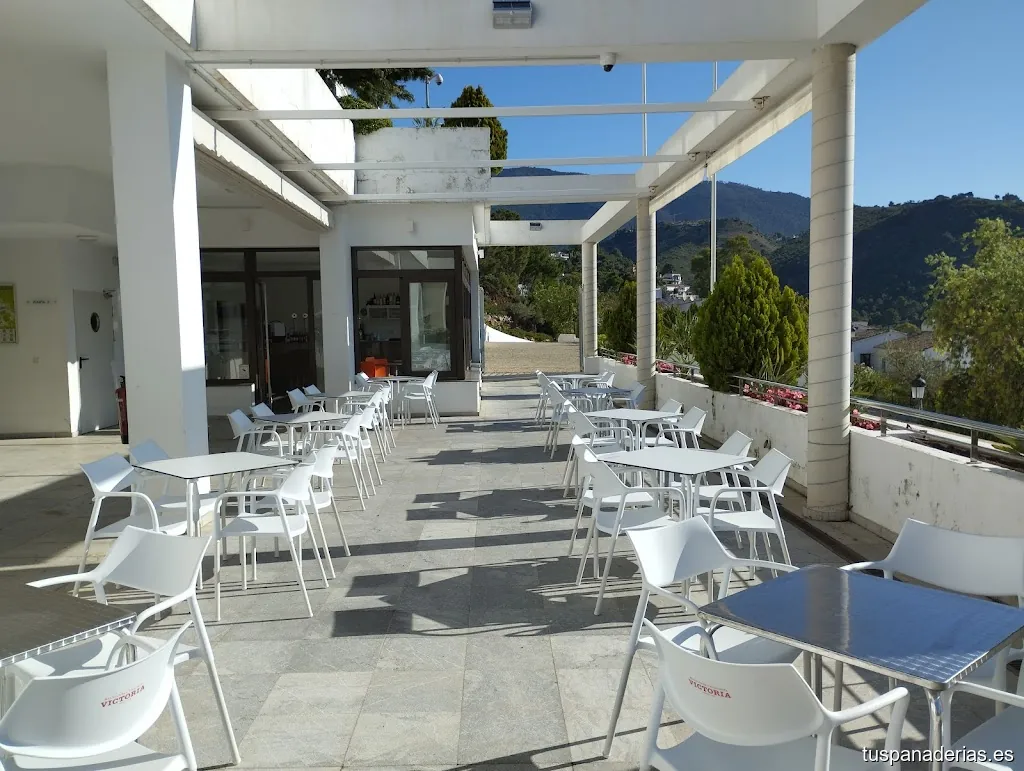 Imagen 3