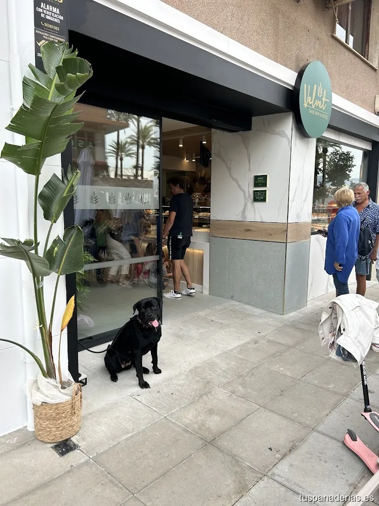 Cafetería Pastelería - Velvet Cake Shop & Coffee