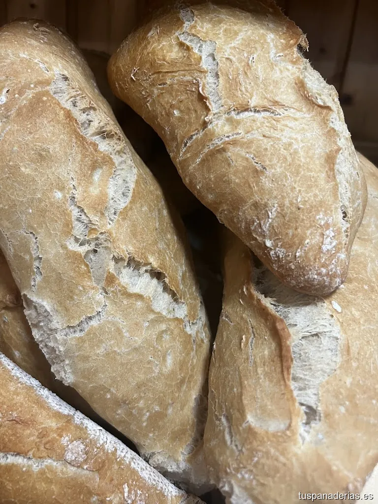 Vanesa Fernández Ferreira