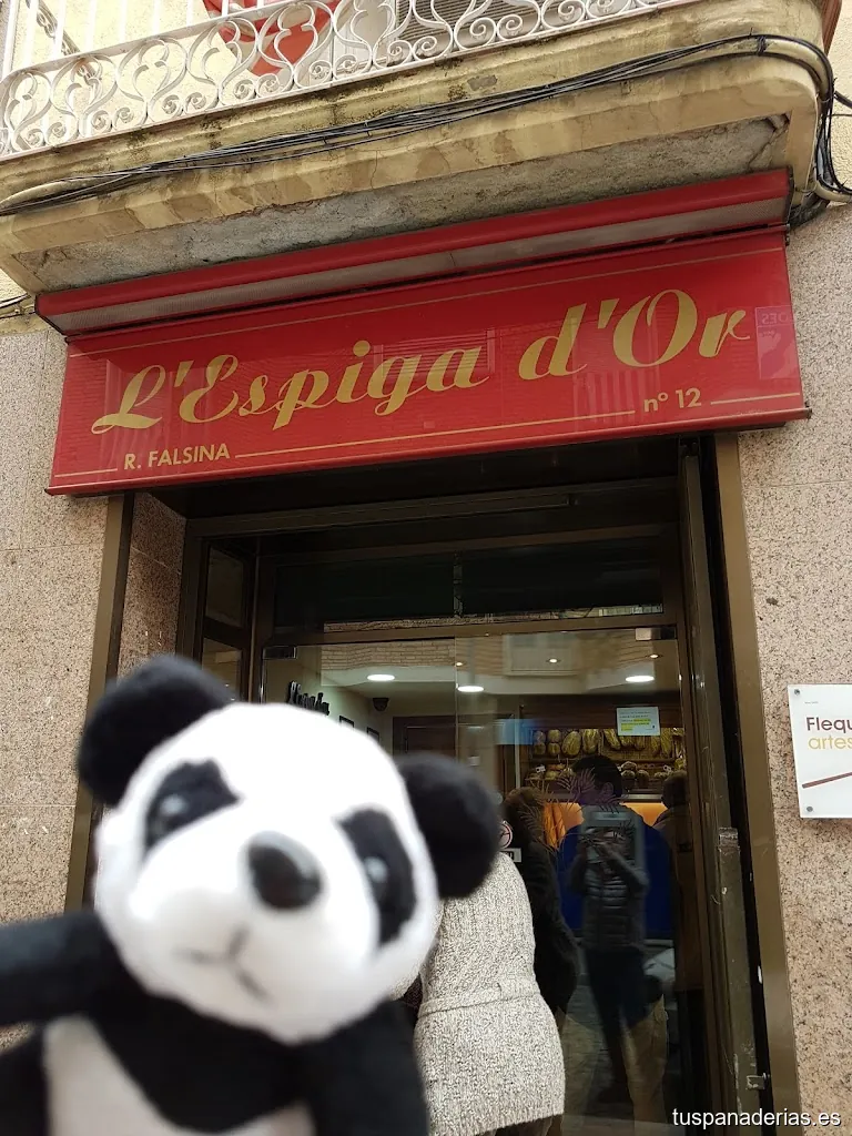 L'Espiga d'Or, Cal Falsina