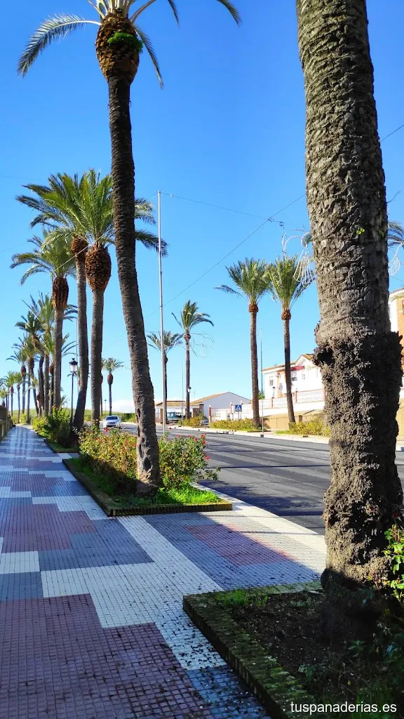 "Panaderia La Moderna" Pan,Frutas Y Comestibles